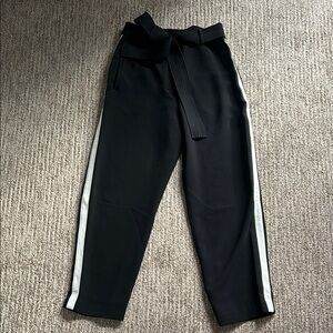 Aritzia Jallade Pants